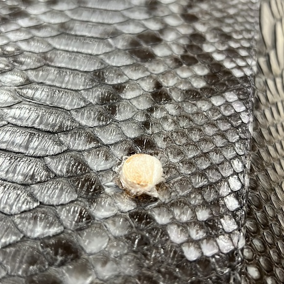 The Pelle Collection Python Purse - Picture 8 of 9